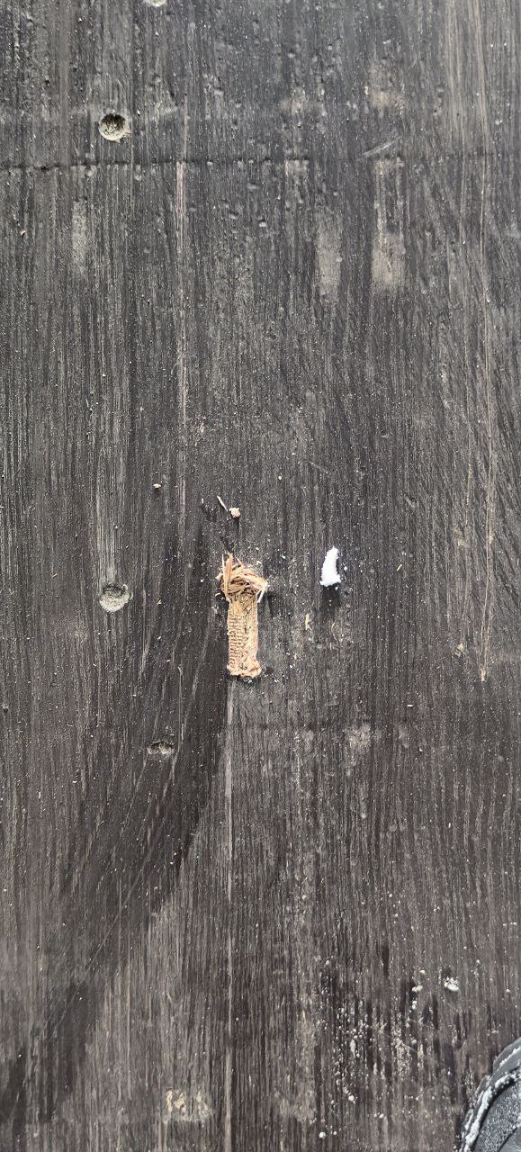 Морской контейнер CICU6743490