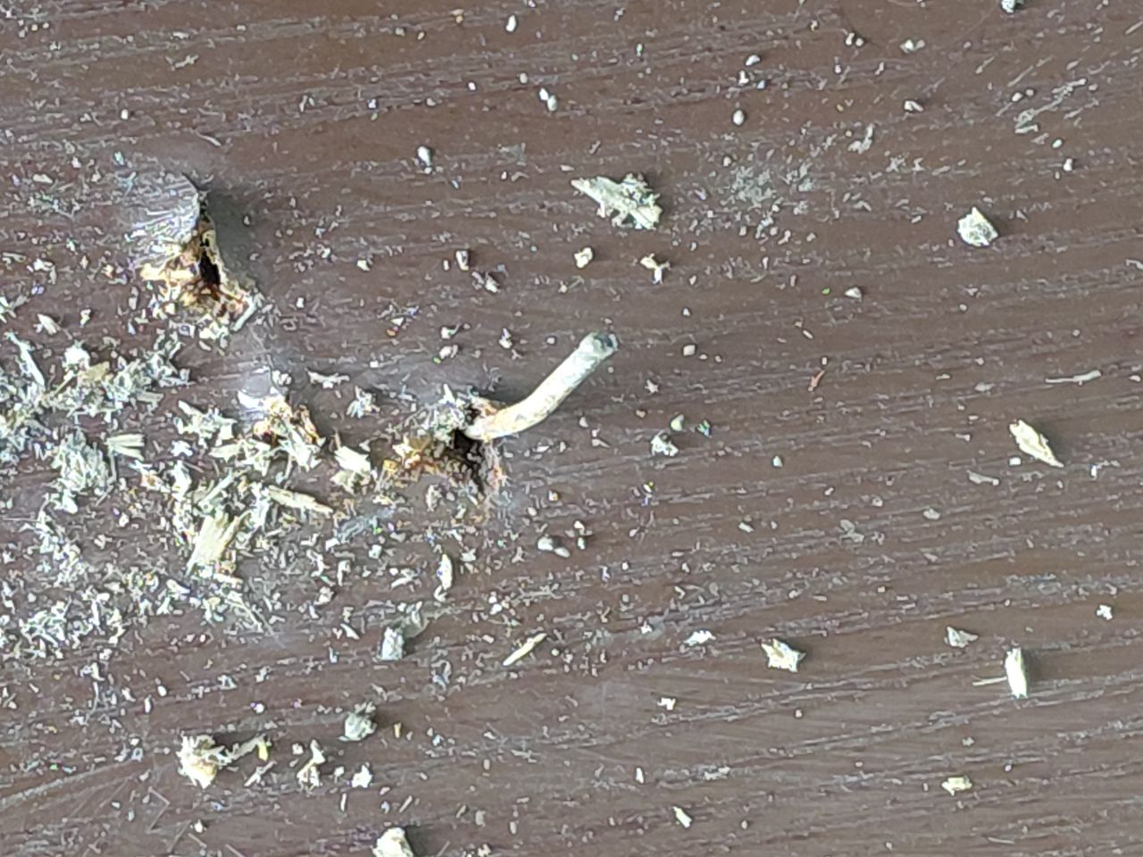 Морской контейнер CICU6852818