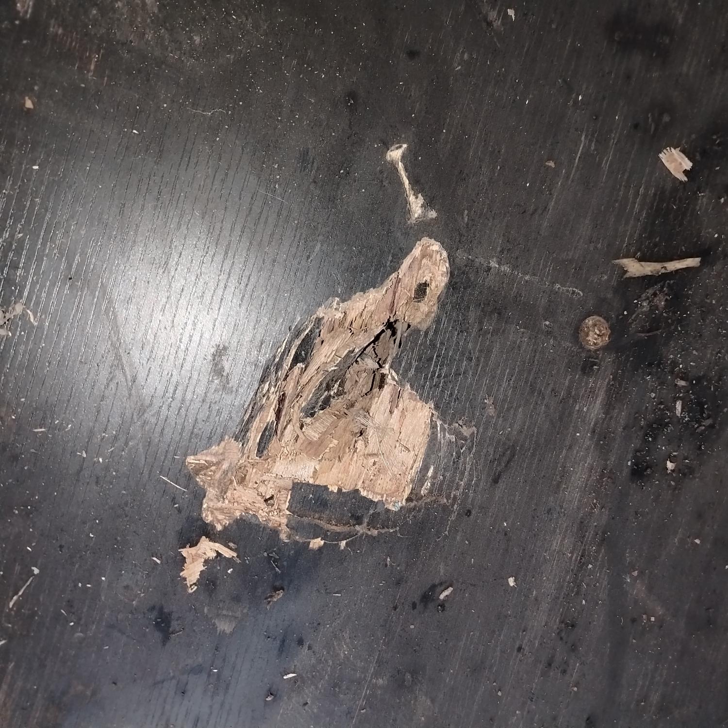 Морской контейнер CICU6999711