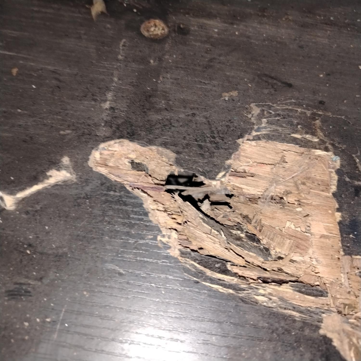 Морской контейнер CICU6999711