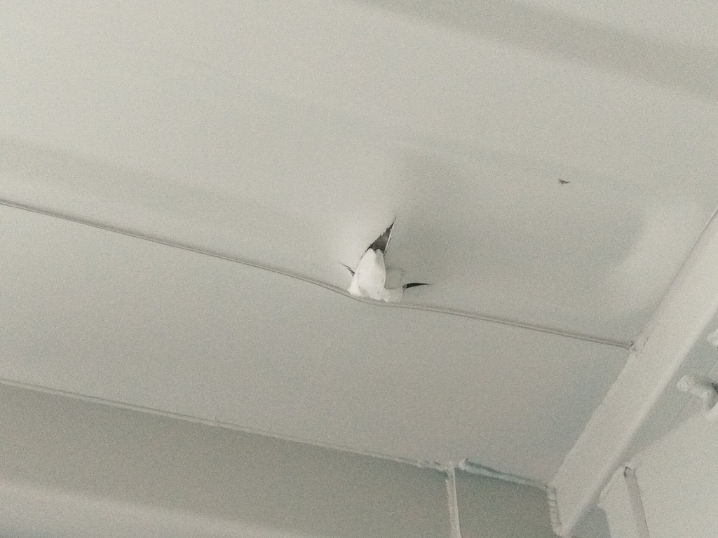 Морской контейнер CICU7000930