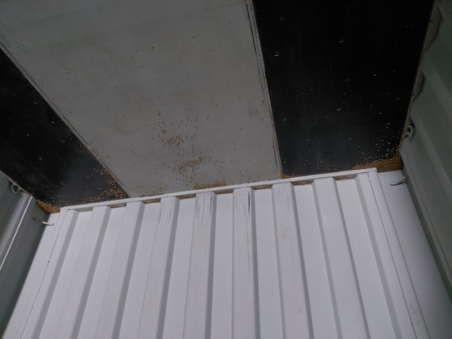 Морской контейнер CICU7061703