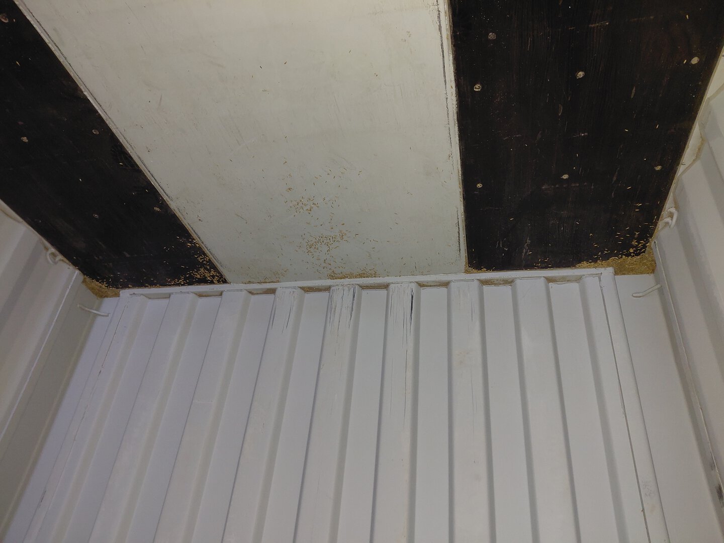 Морской контейнер CICU7061703