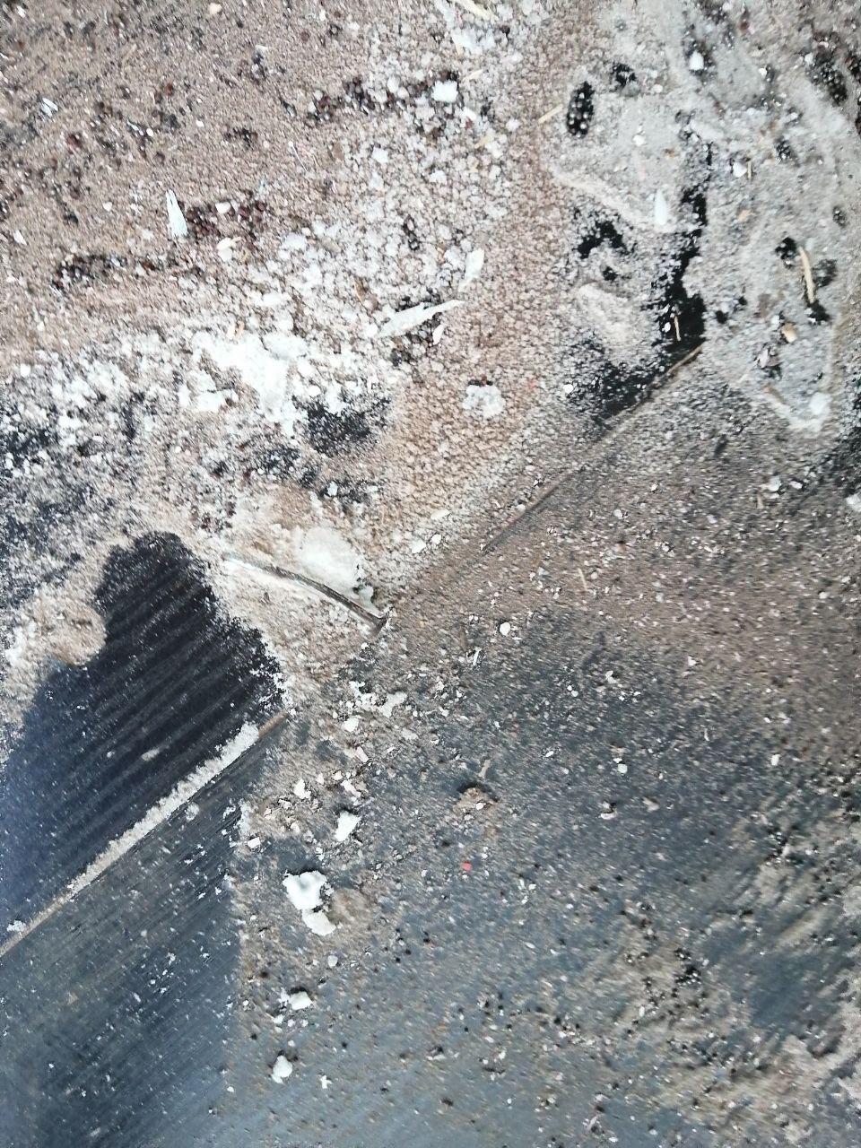 Морской контейнер CICU7238933