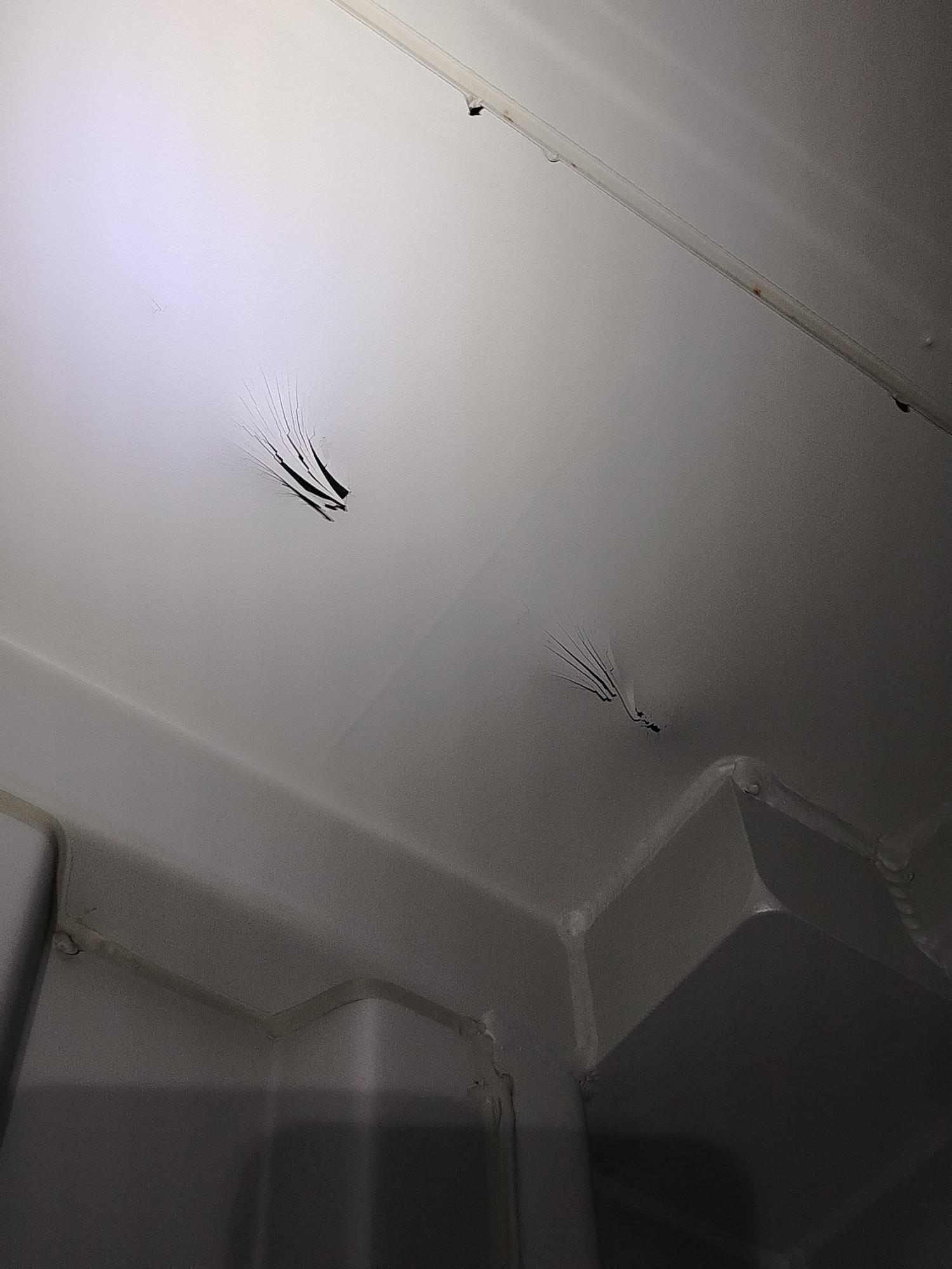 Морской контейнер CICU7249645