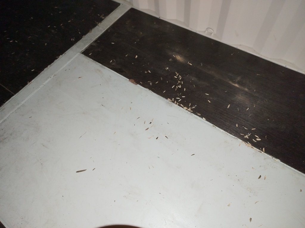 Морской контейнер CICU7257384