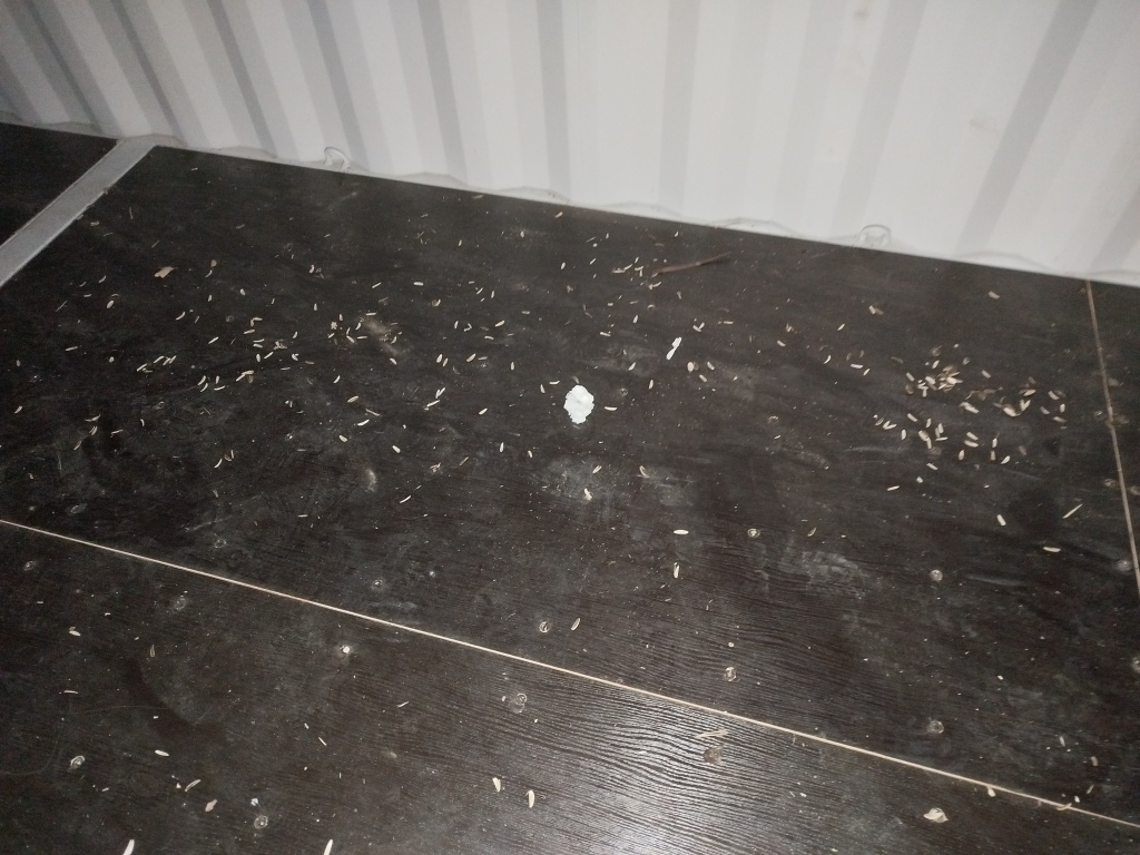 Морской контейнер CICU7257384