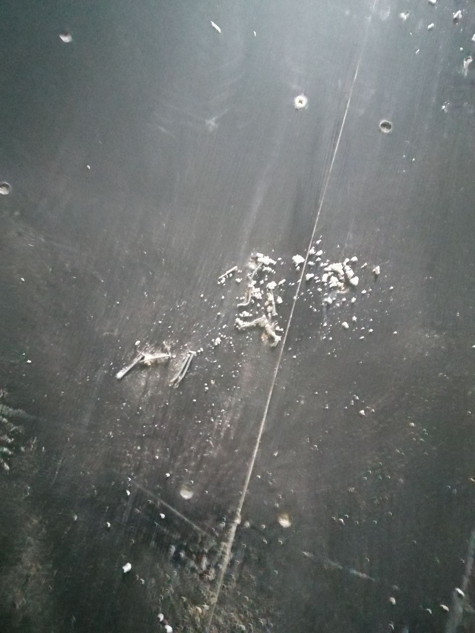 Морской контейнер CICU7475874