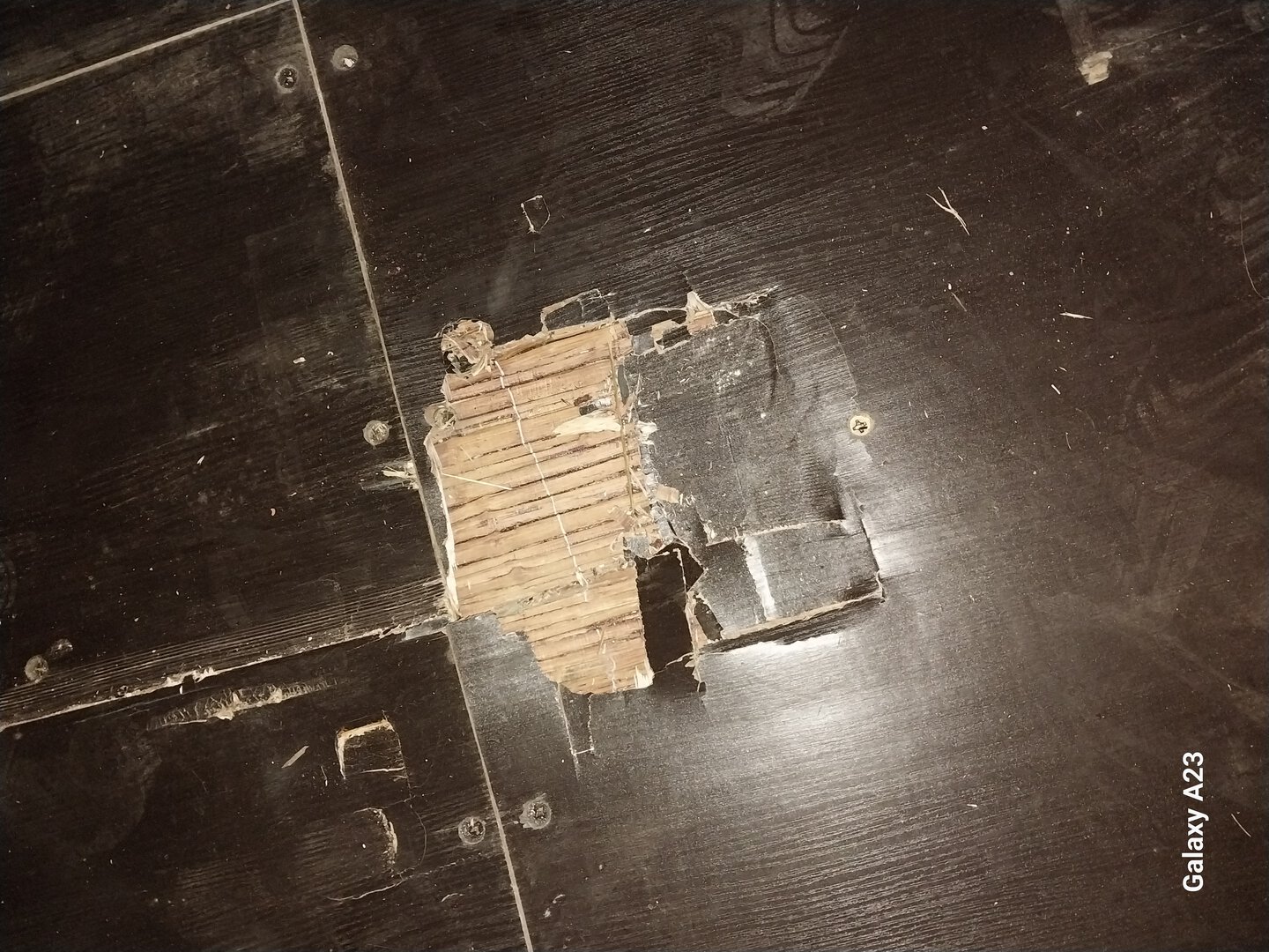 Морской контейнер CICU7482683