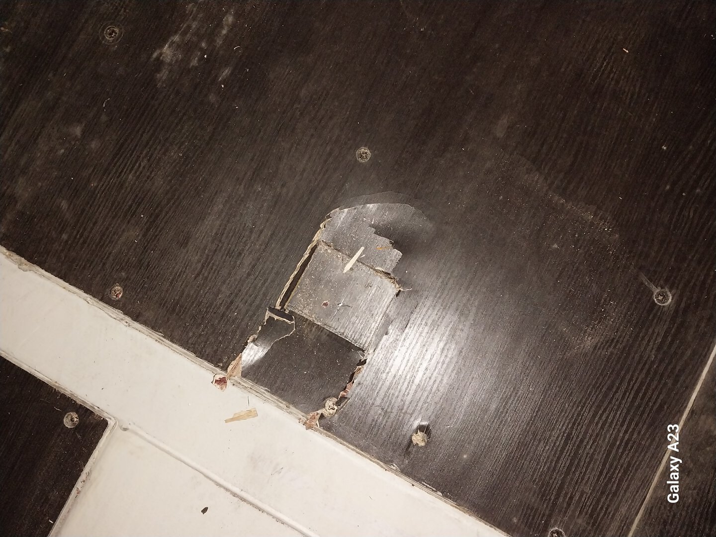 Морской контейнер CICU7482683