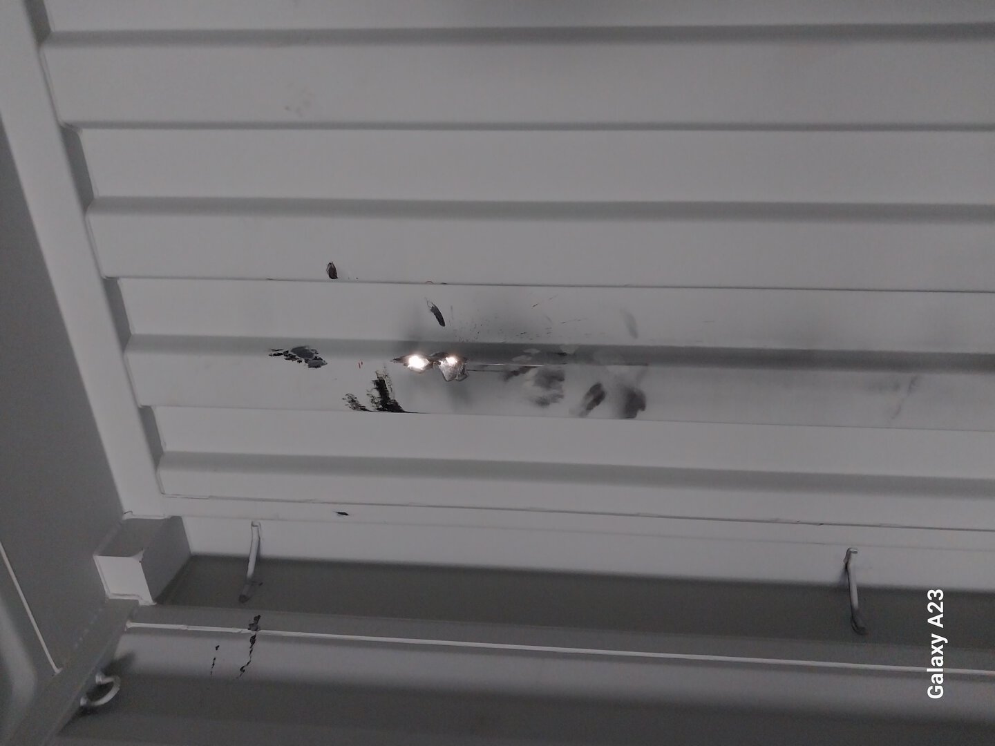 Морской контейнер CICU7484480