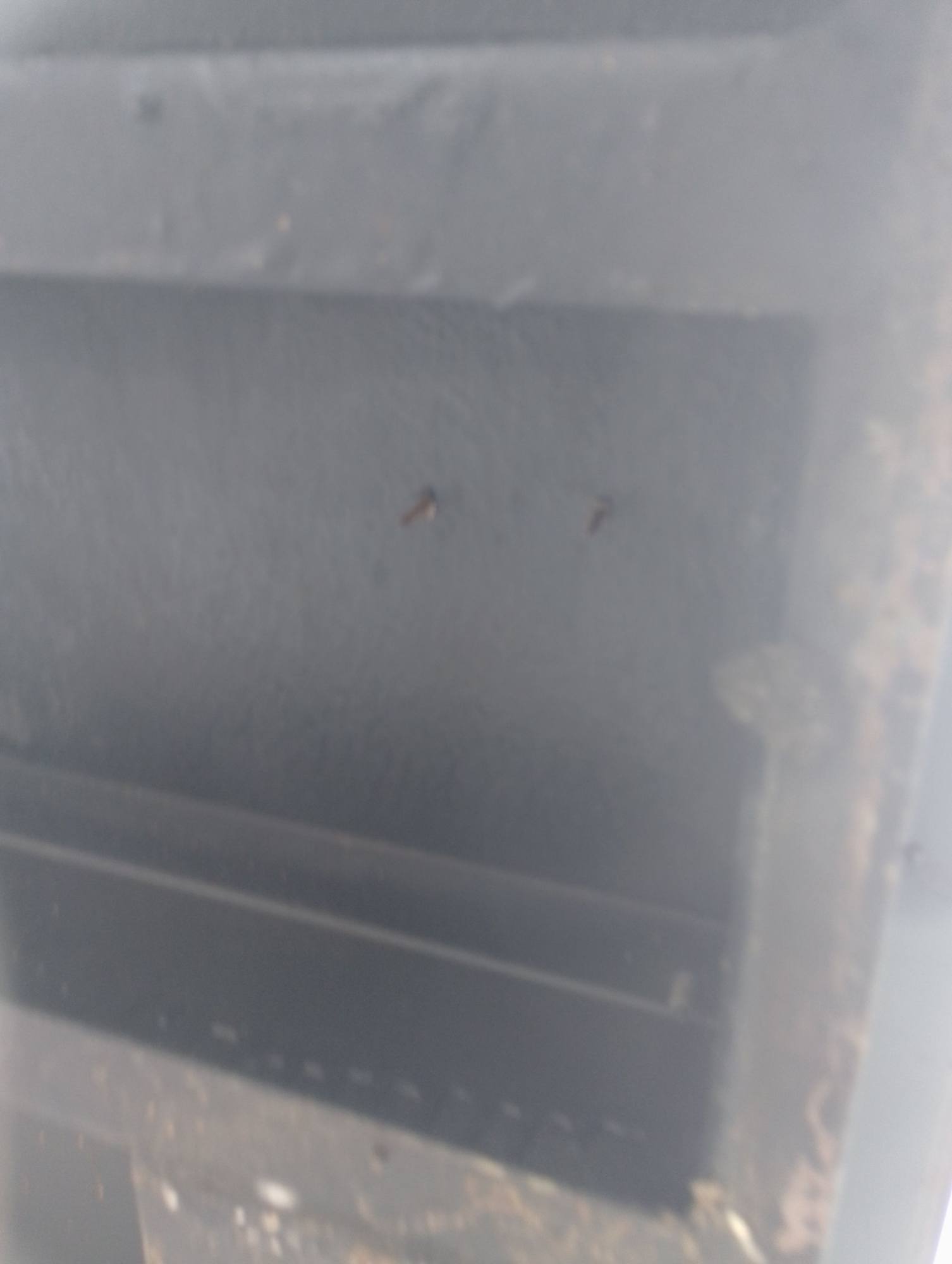 Морской контейнер CICU7486930