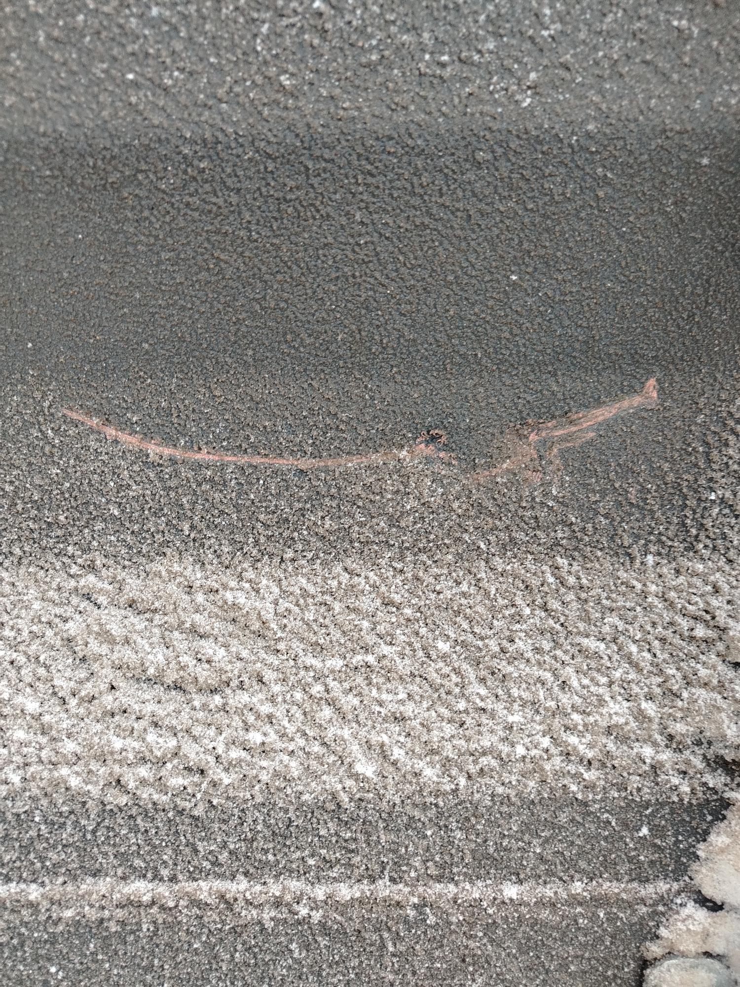 Морской контейнер CICU7491514