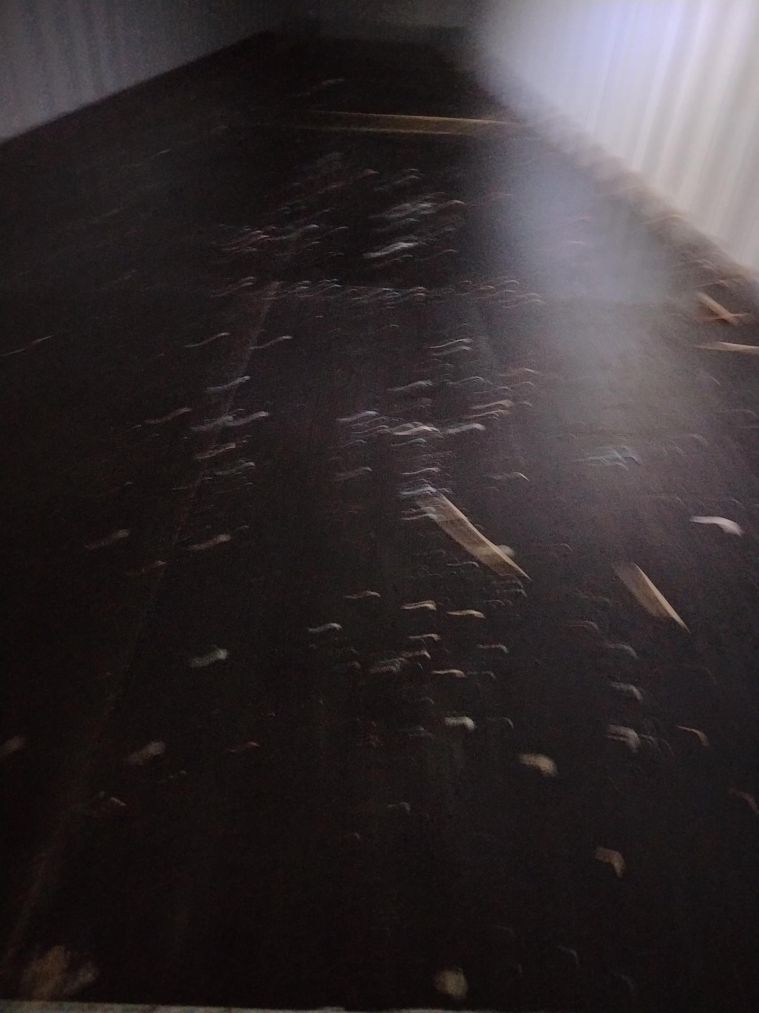 Морской контейнер CICU7492655