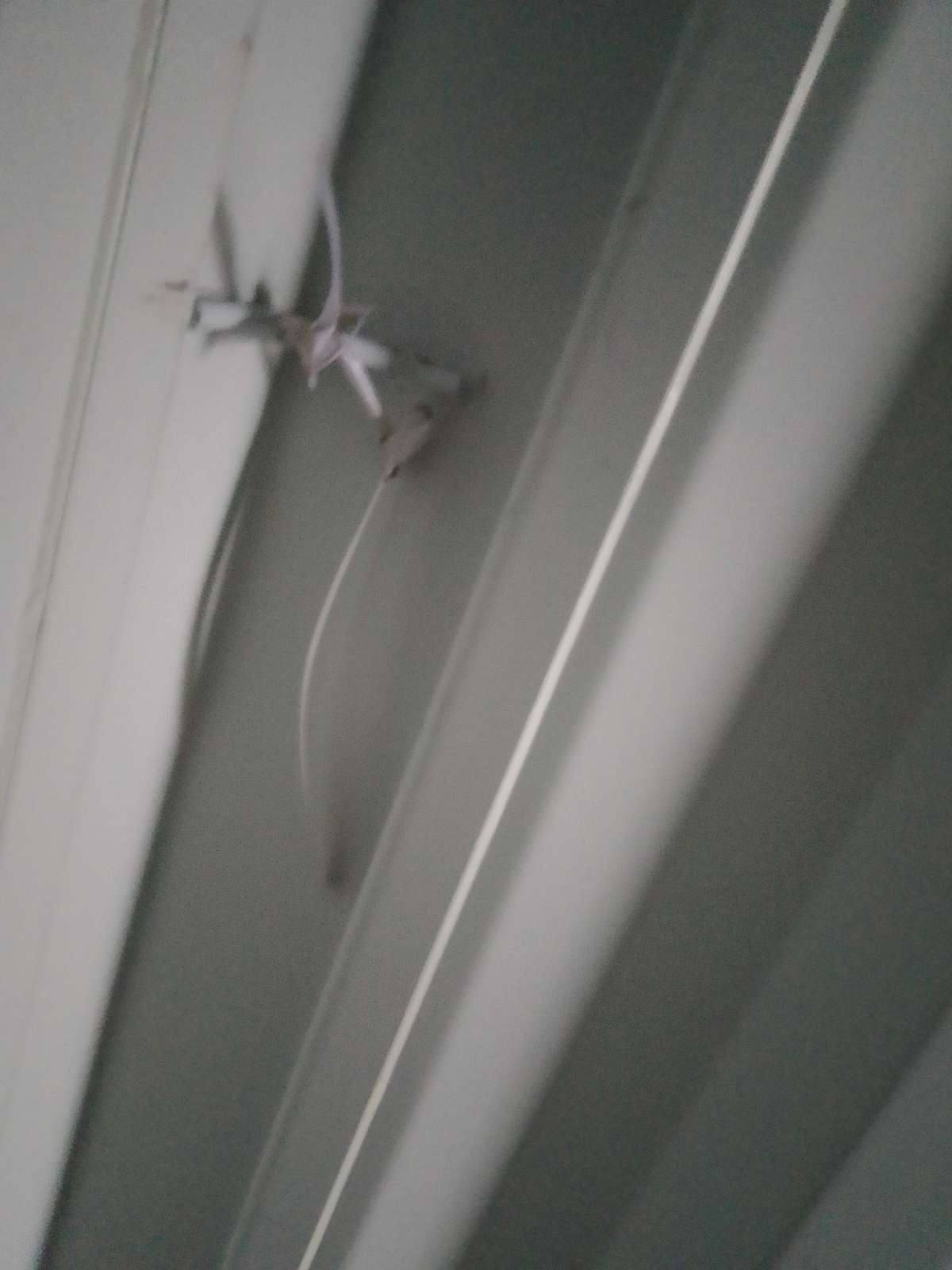 Морской контейнер CIMU0176439