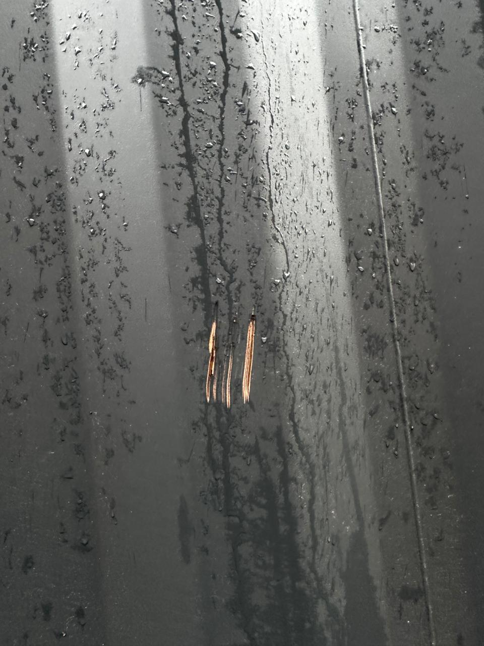 Морской контейнер CIMU0177414