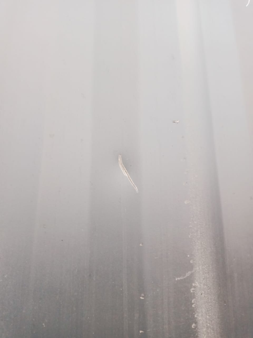 Морской контейнер CIMU0177538