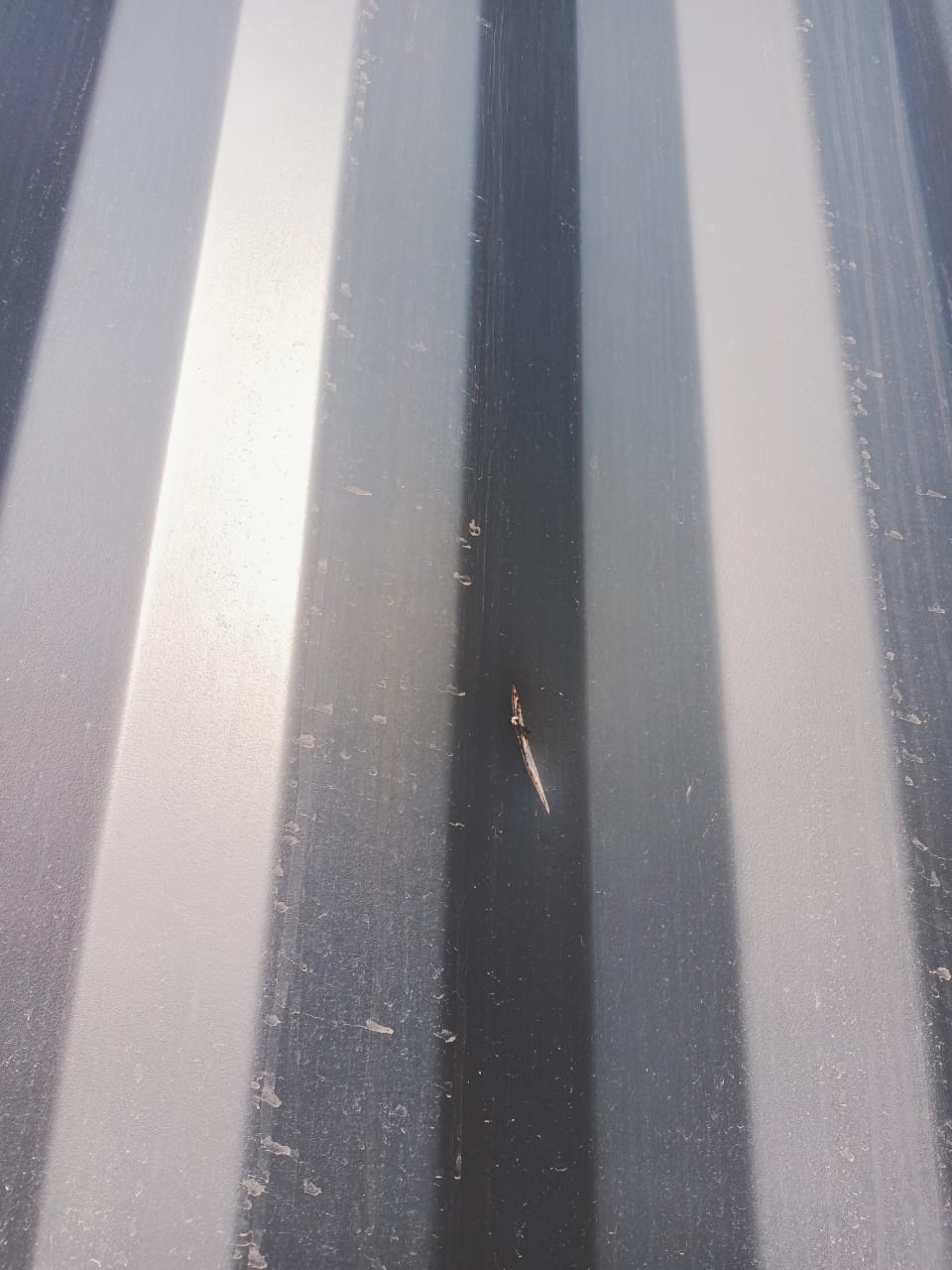 Морской контейнер CIMU0182067