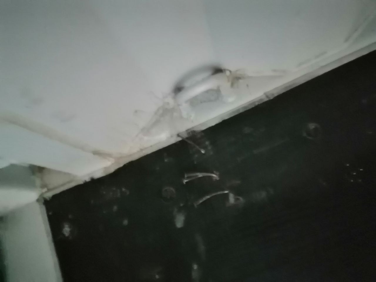 Морской контейнер CIMU0209770