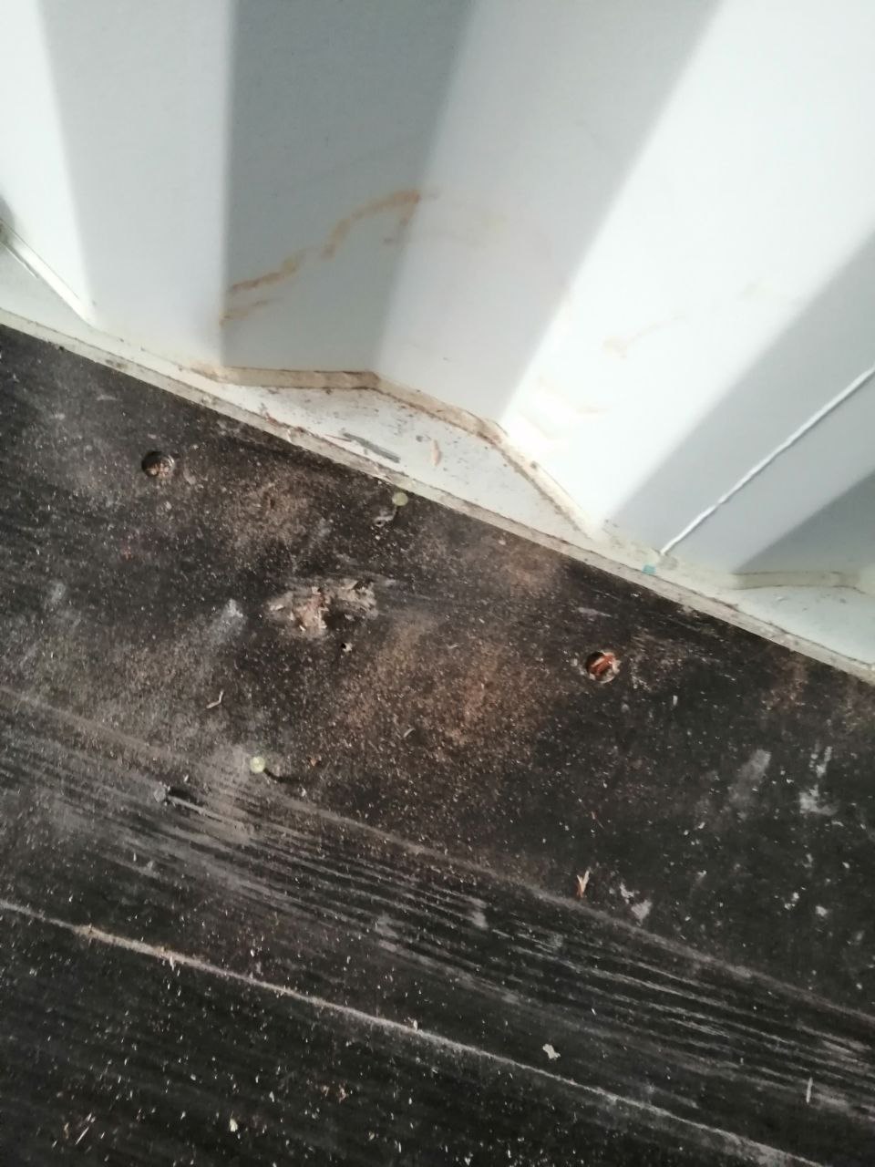 Морской контейнер CIMU0214420