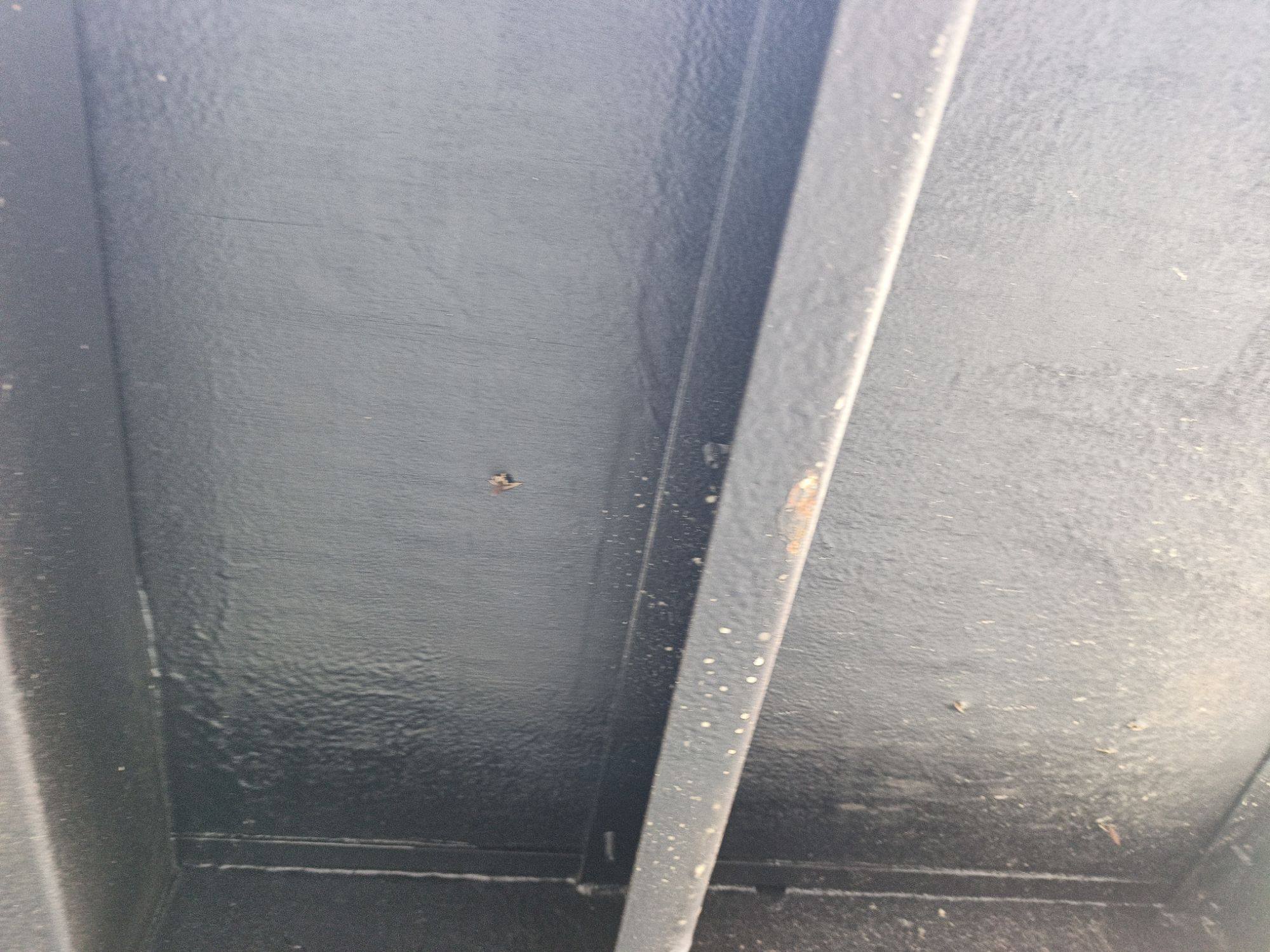 Морской контейнер CIMU0218555