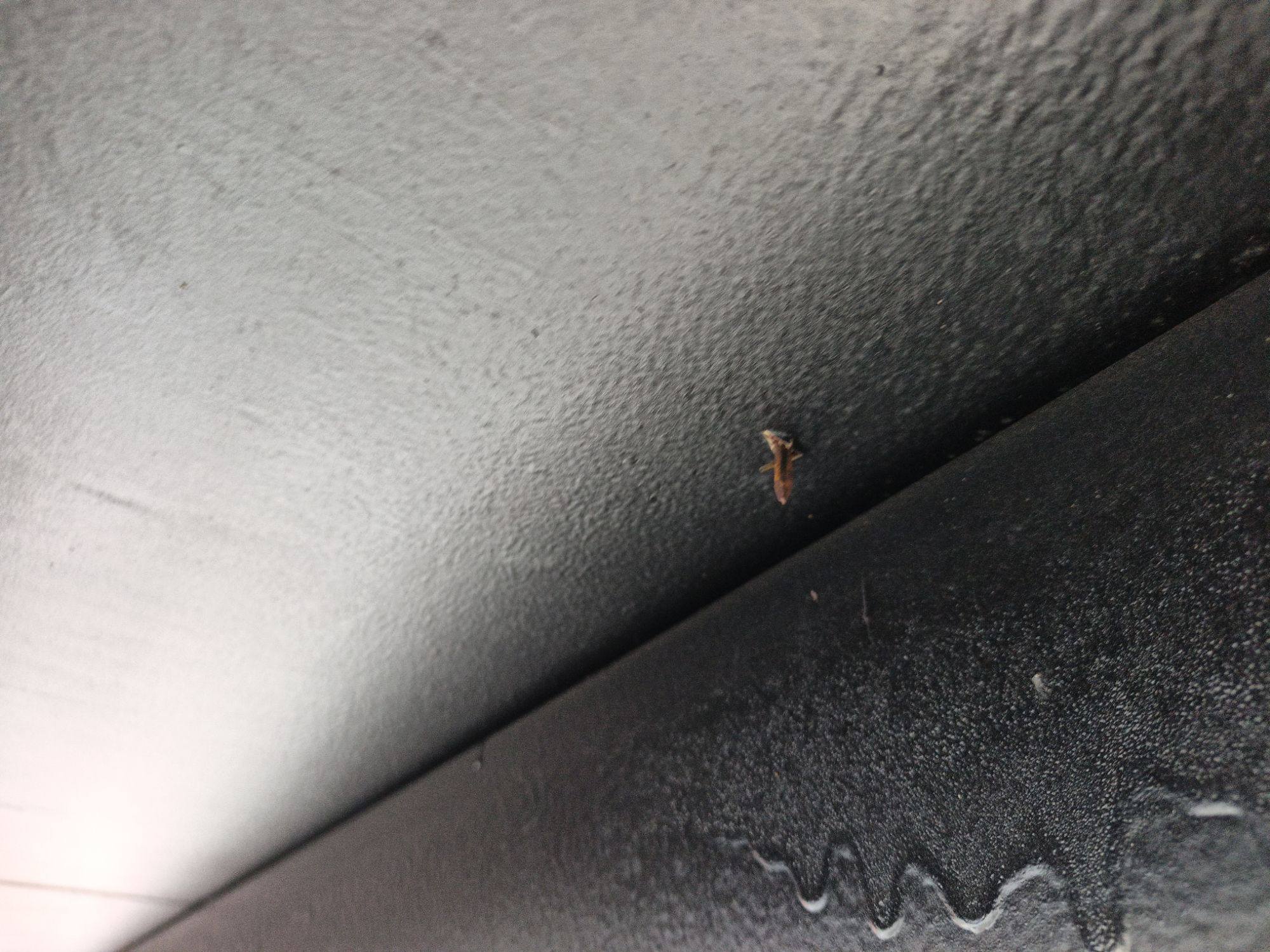 Морской контейнер CIMU0218555