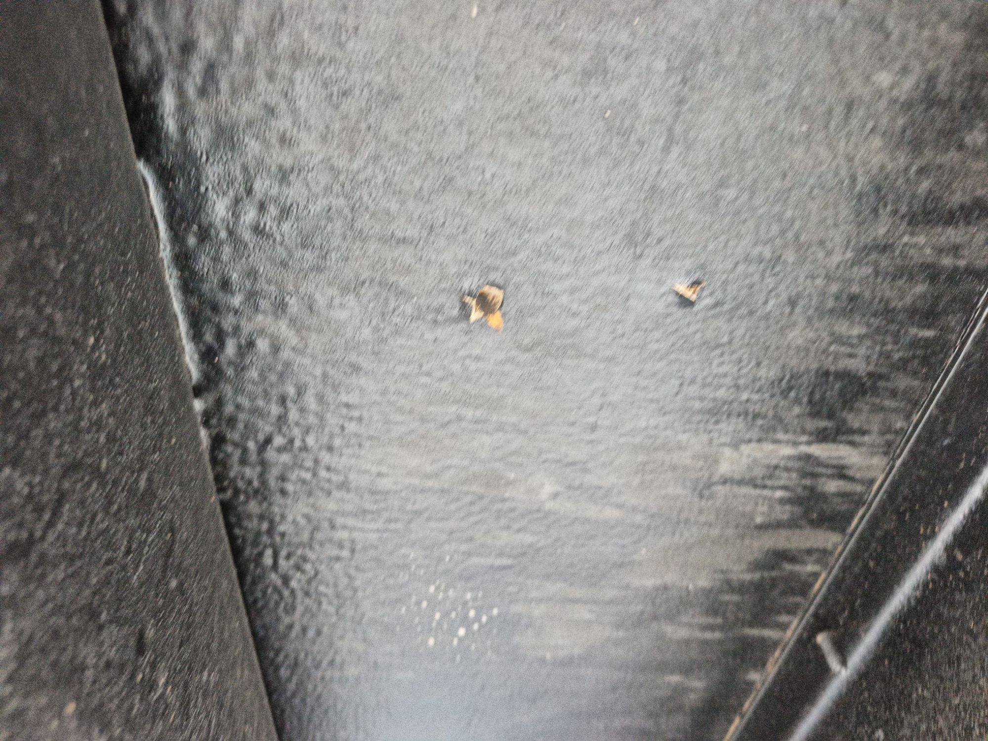 Морской контейнер CIMU0218555