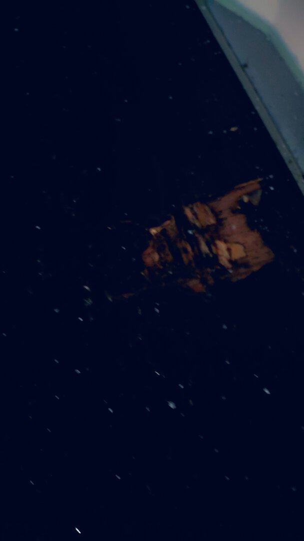 Морской контейнер CIMU0235681