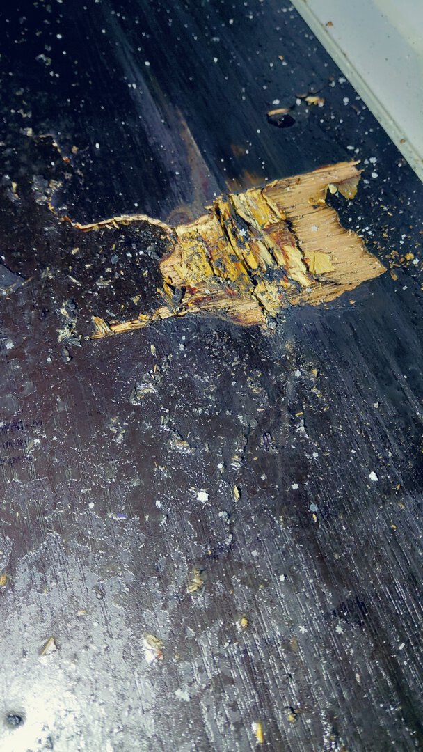 Морской контейнер CIMU0235681