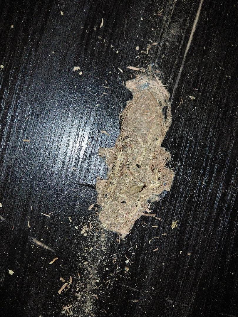 Морской контейнер CIMU0239619