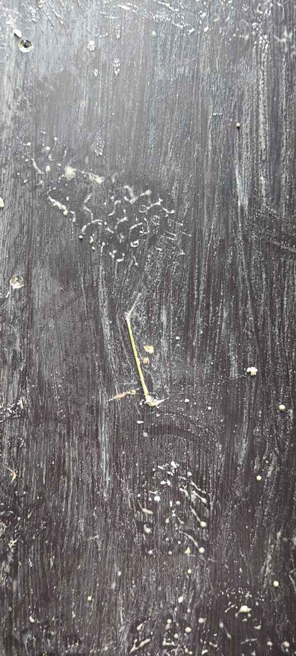 Морской контейнер CIMU0271776