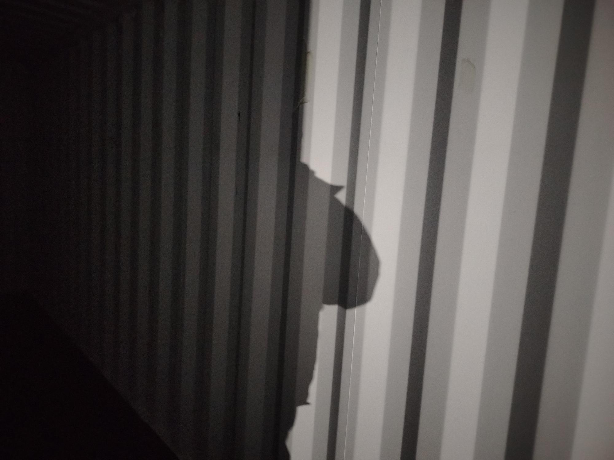 Морской контейнер CIMU0272535