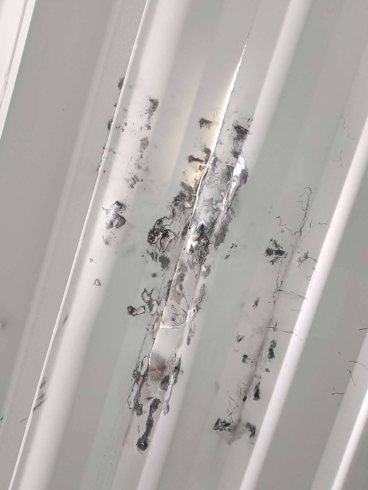 Морской контейнер CIMU0397065