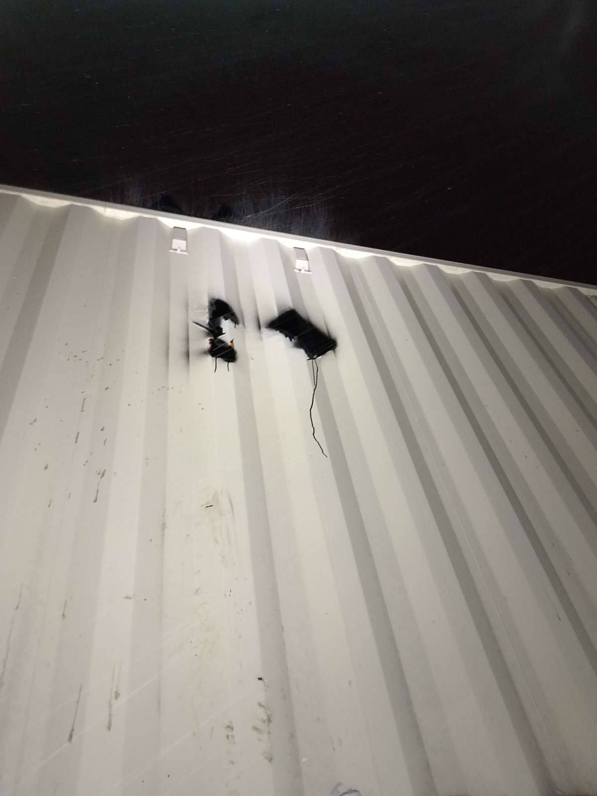 Морской контейнер CIMU0791021