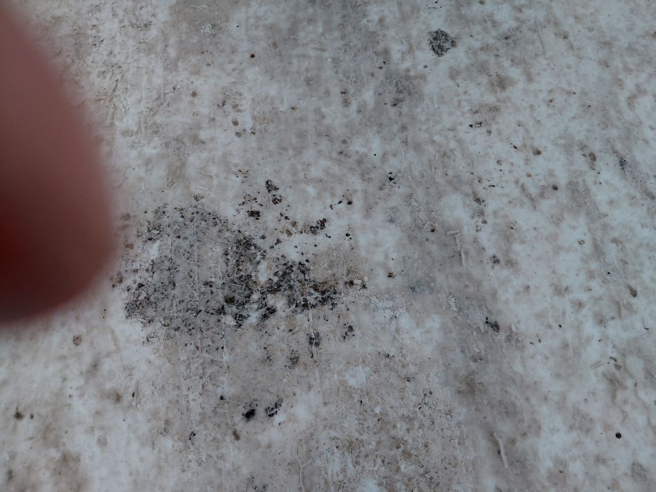 Морской контейнер CIMU0792748