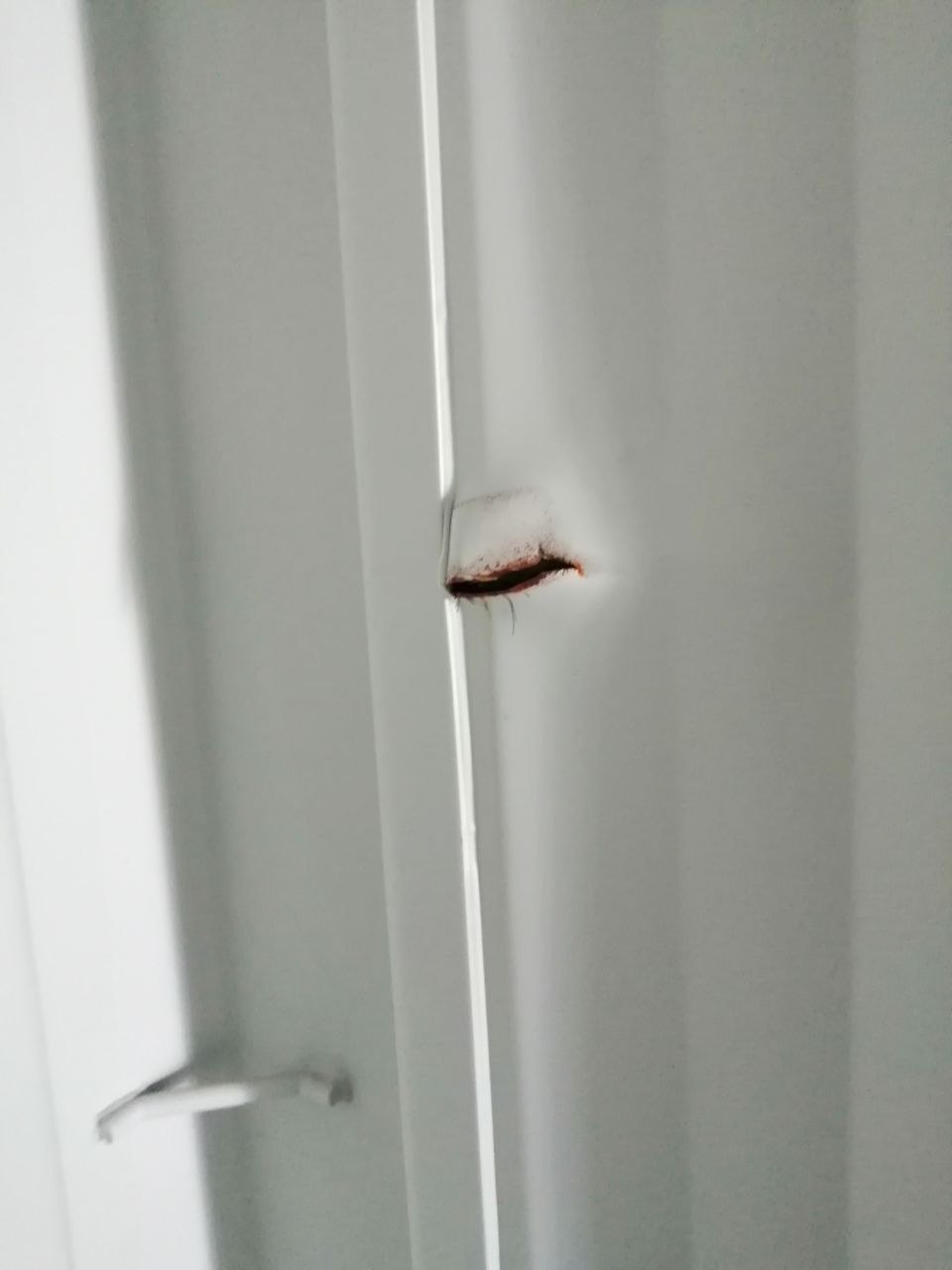 Морской контейнер CIMU0796960