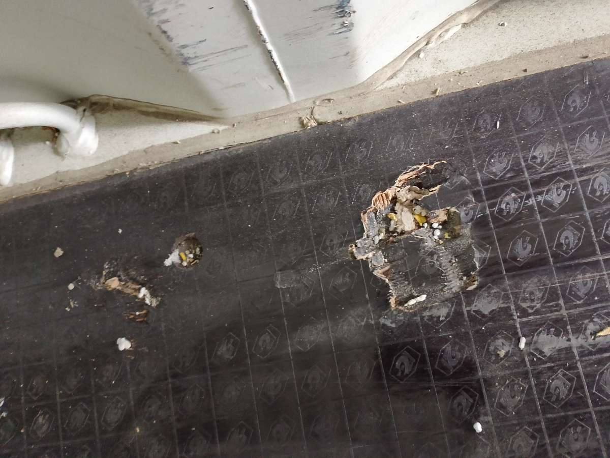 Морской контейнер CIPU5160586