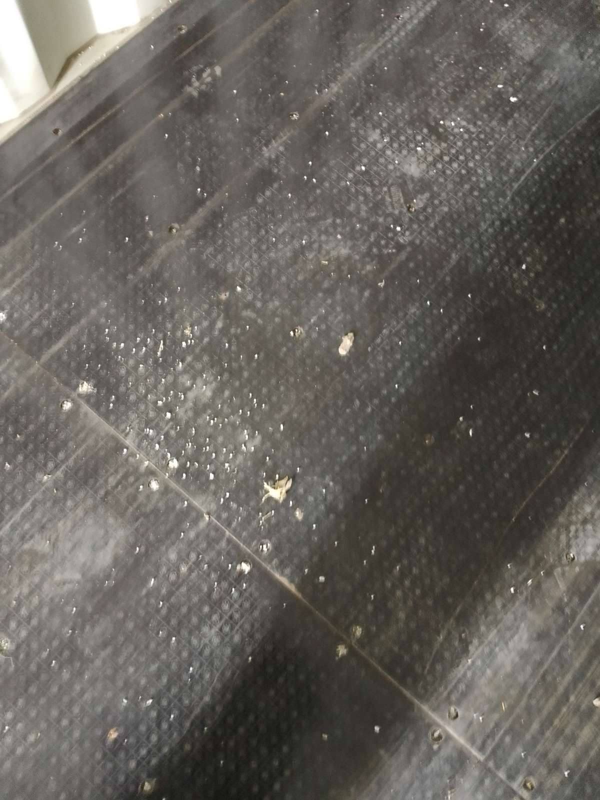 Морской контейнер CIPU5160586