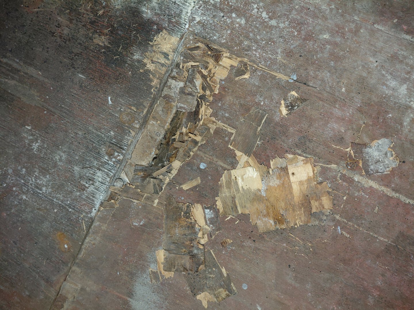 Морской контейнер CMAU1802448