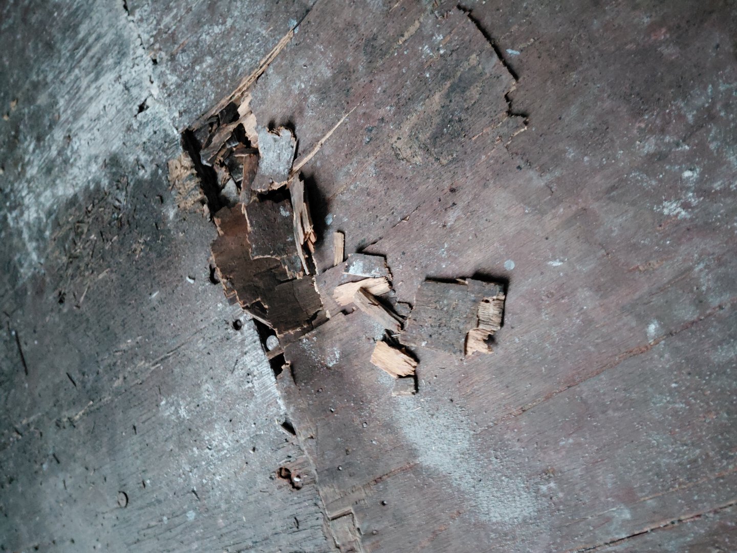 Морской контейнер CMAU1802448