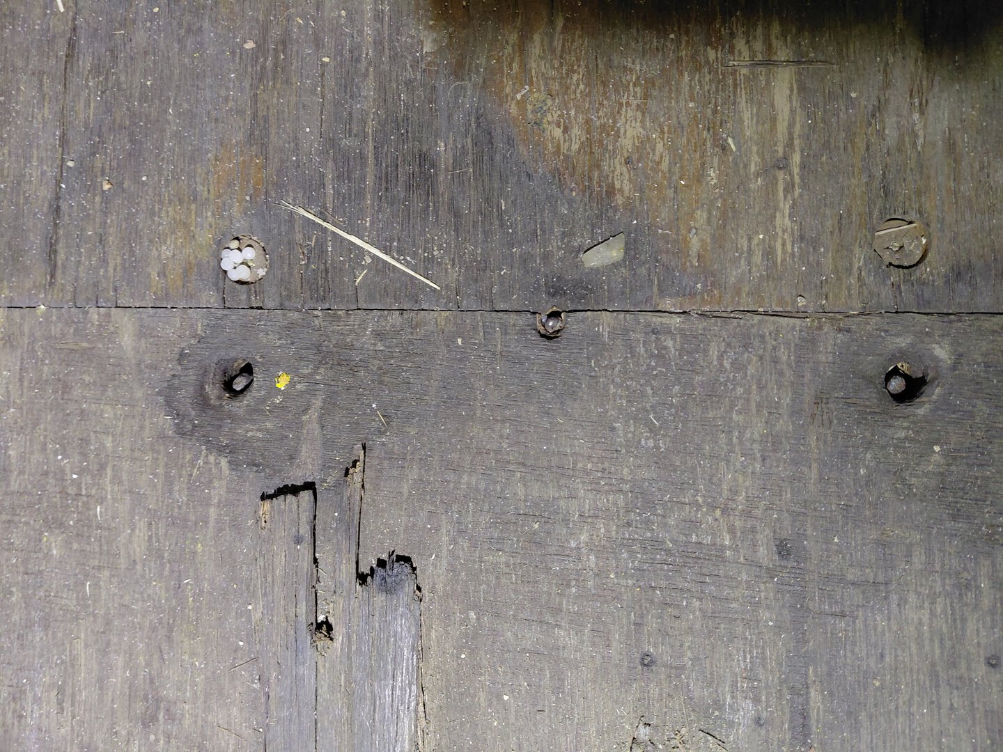 Морской контейнер CMAU5179275