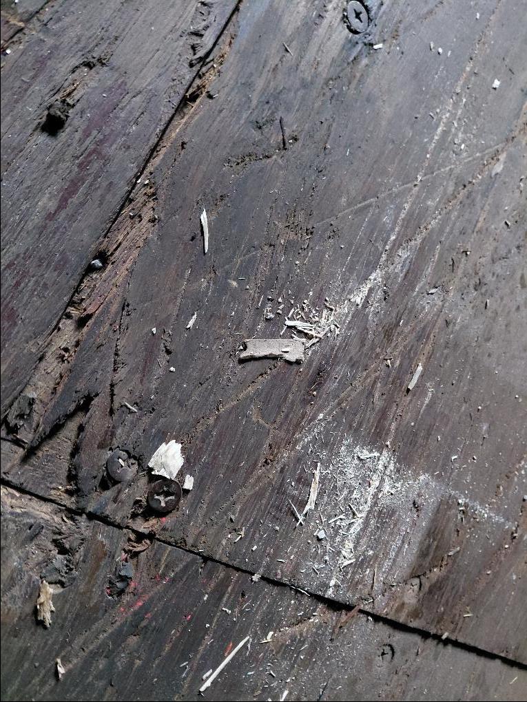 Морской контейнер CRXU1554730