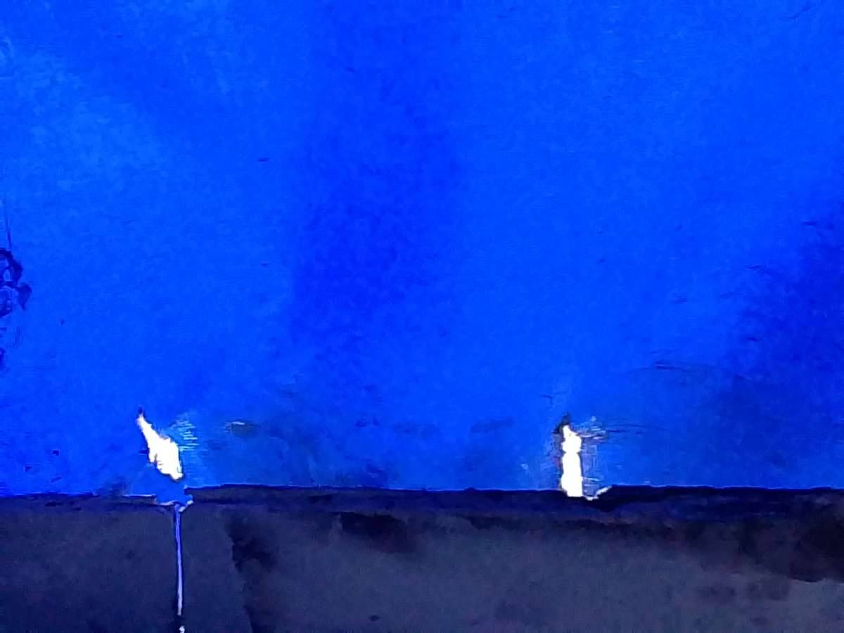 Морской контейнер DFSU6766281