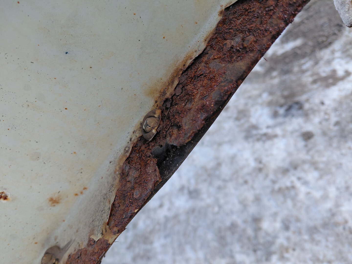 Морской контейнер EOLU8121876