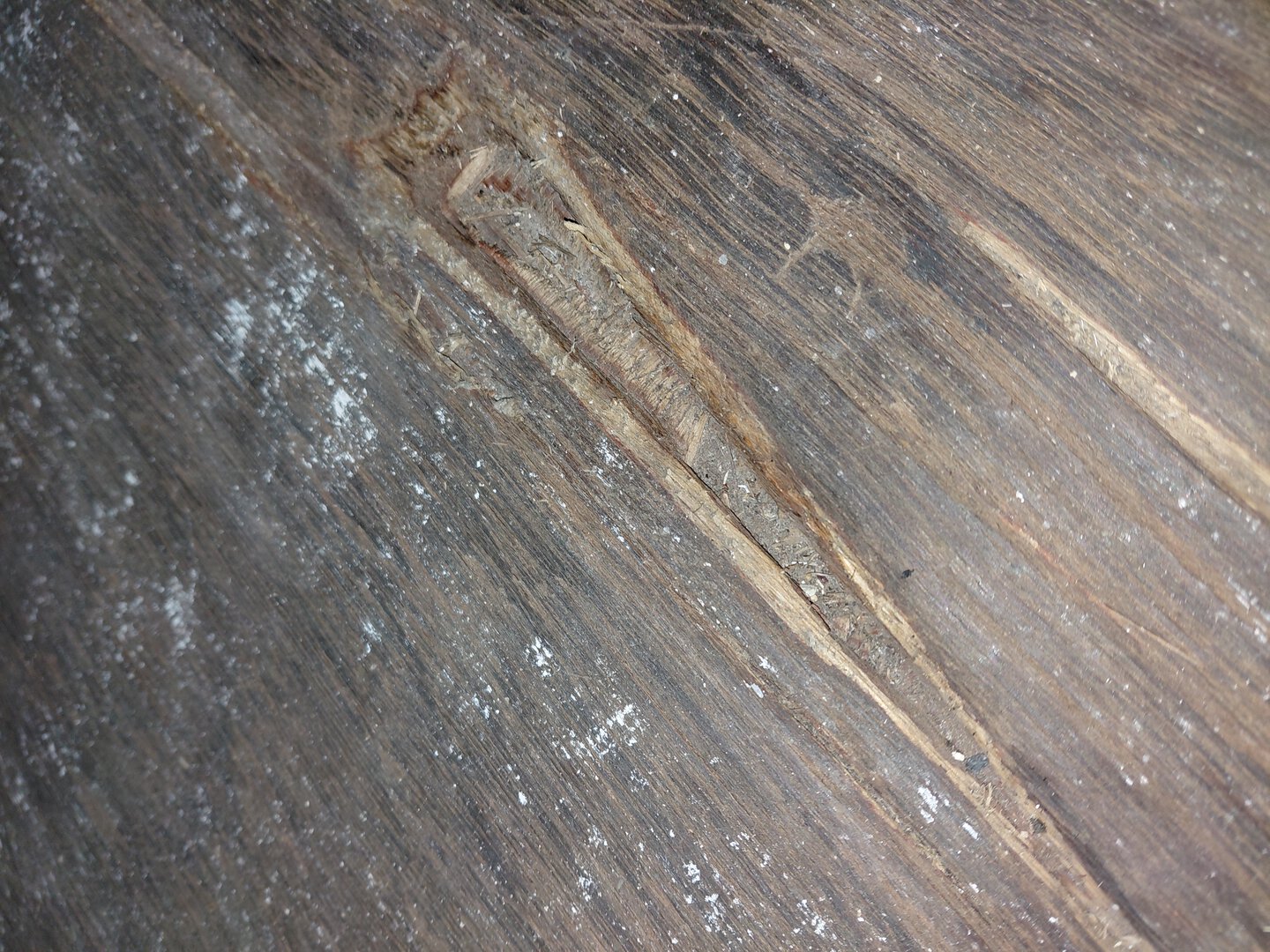 Морской контейнер FCIU4411674