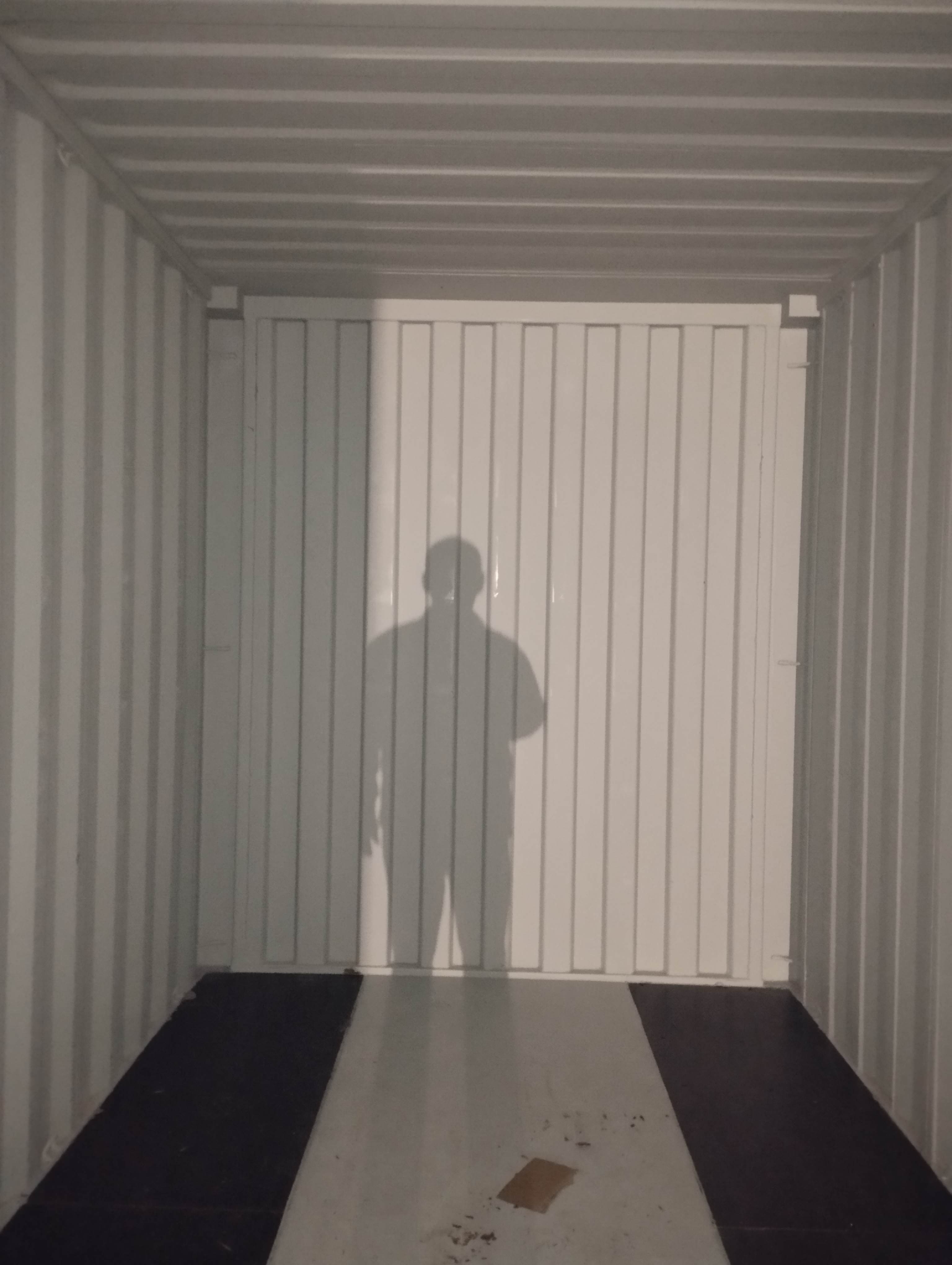 Морской контейнер FORU8810950