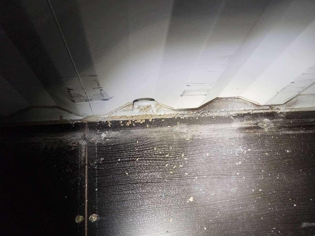 Морской контейнер FWRU0349257