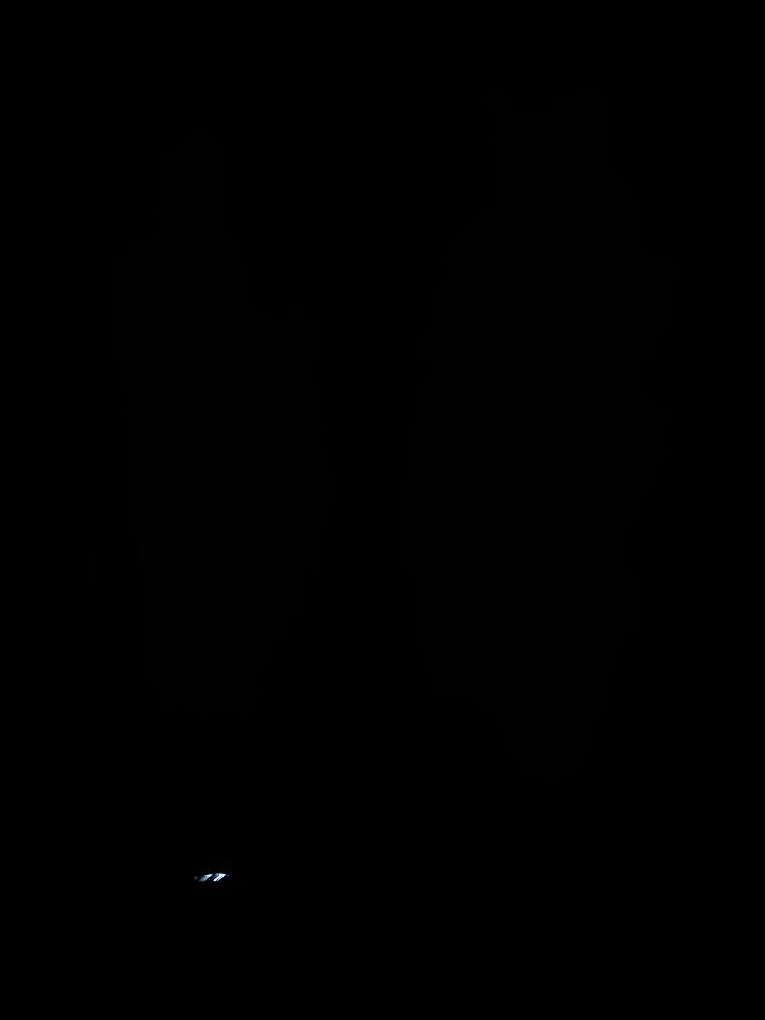 Морской контейнер GLDU3244948