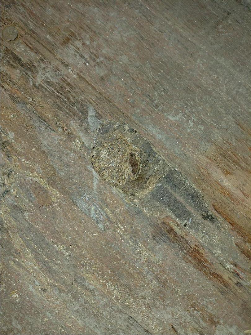 Морской контейнер GLDU5084427