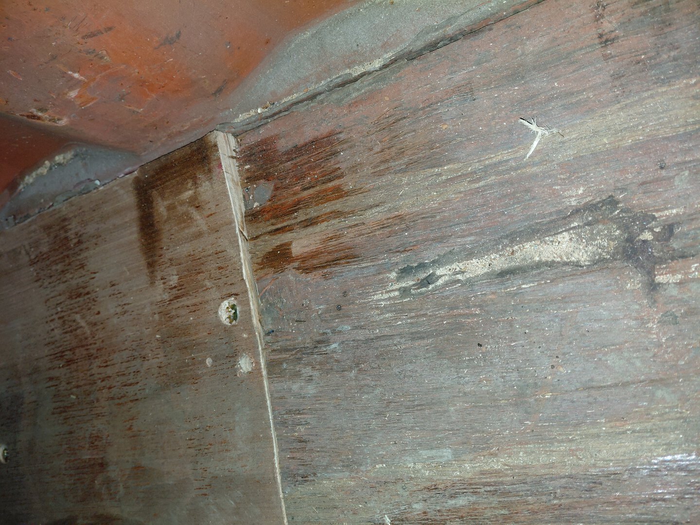 Морской контейнер GLDU5084427